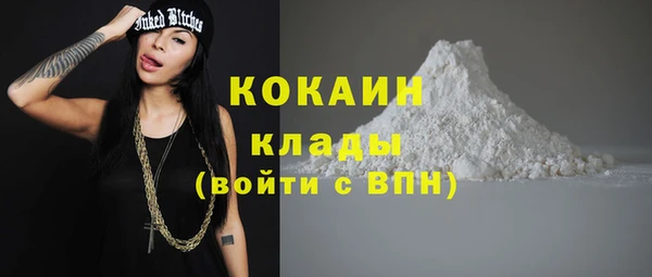 винт Краснослободск